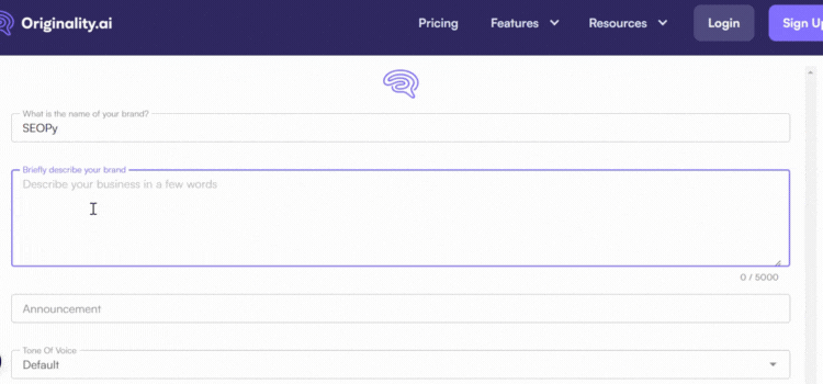 Input Your Brand Description